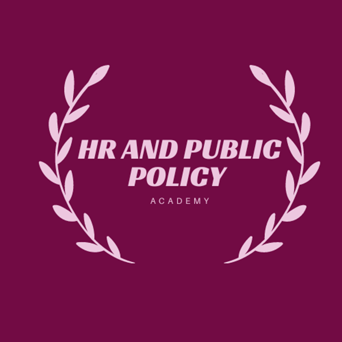 HR and Public Policy academy